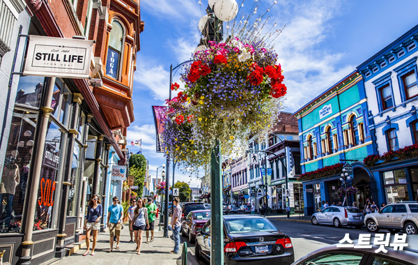 빅토리아 교육청_2
