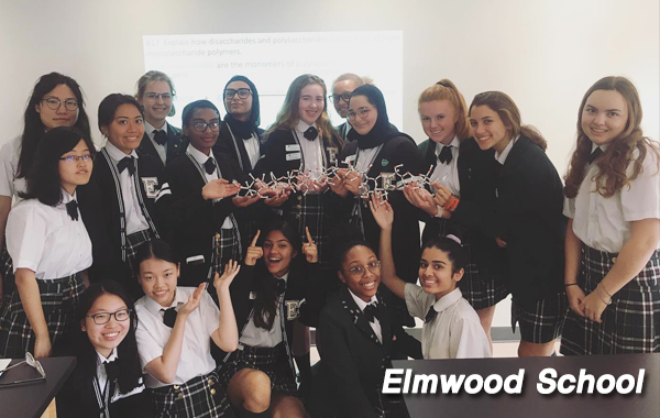 Elmwood School_3